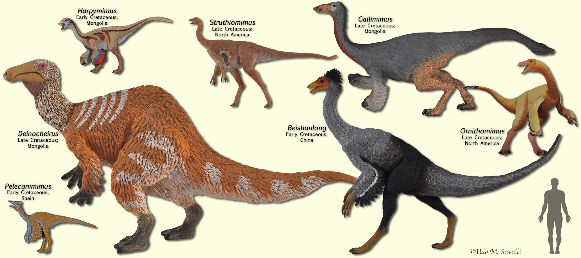 small theropods