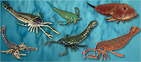 Sea Scorpions